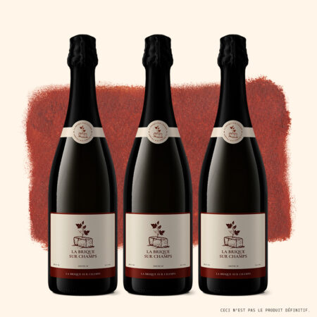 Coffret set de 3 bouteilles 1ère cuvée 2028